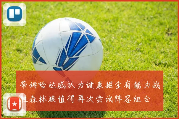 蒂姆哈达威认为健康掘金有能力战胜森林狼值得再次尝试阵容组合