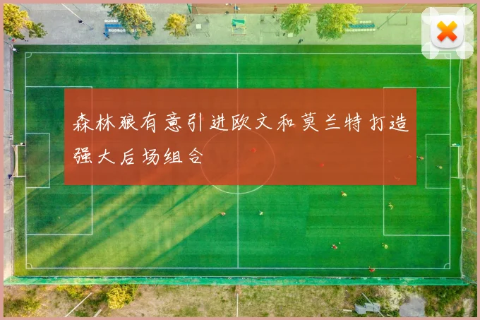 森林狼有意引进欧文和莫兰特打造强大后场组合